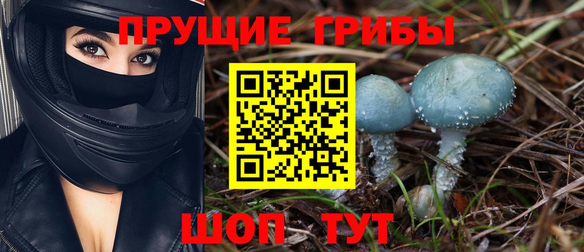 Псилоцибиновые грибы мицелий Наро-Фоминск