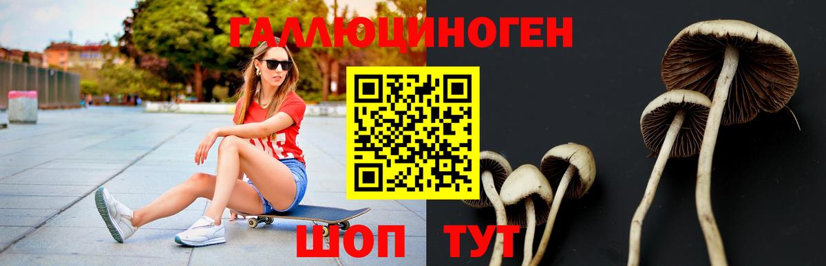 Псилоцибиновые грибы прущие грибы  Вход с VPN  Наро-Фоминск  Галлюциногенные грибы Psilocybine cubensis 
